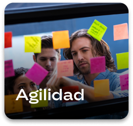 foto-agilidad